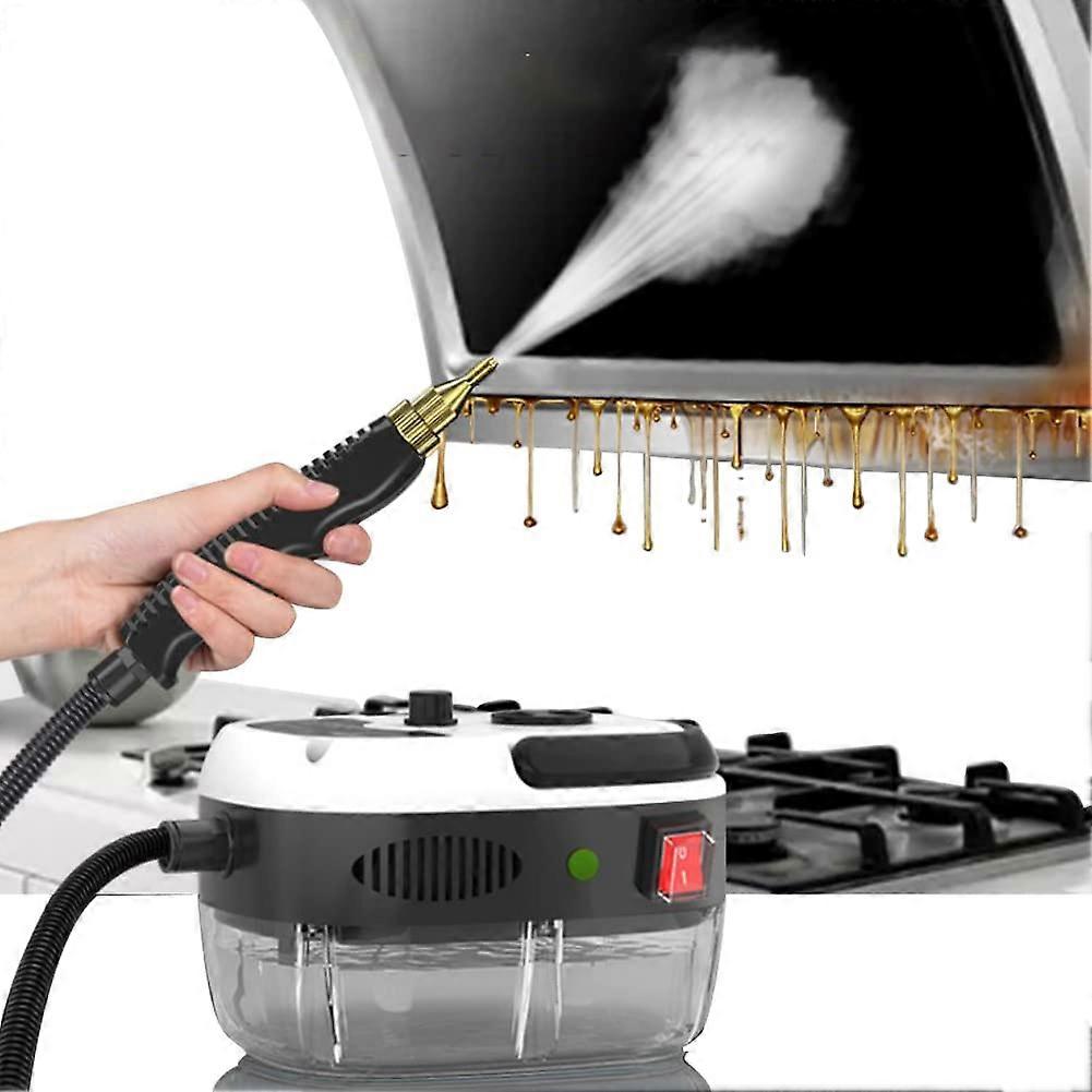 Handheld Steam Cleaner for Home Use and Car Detailing