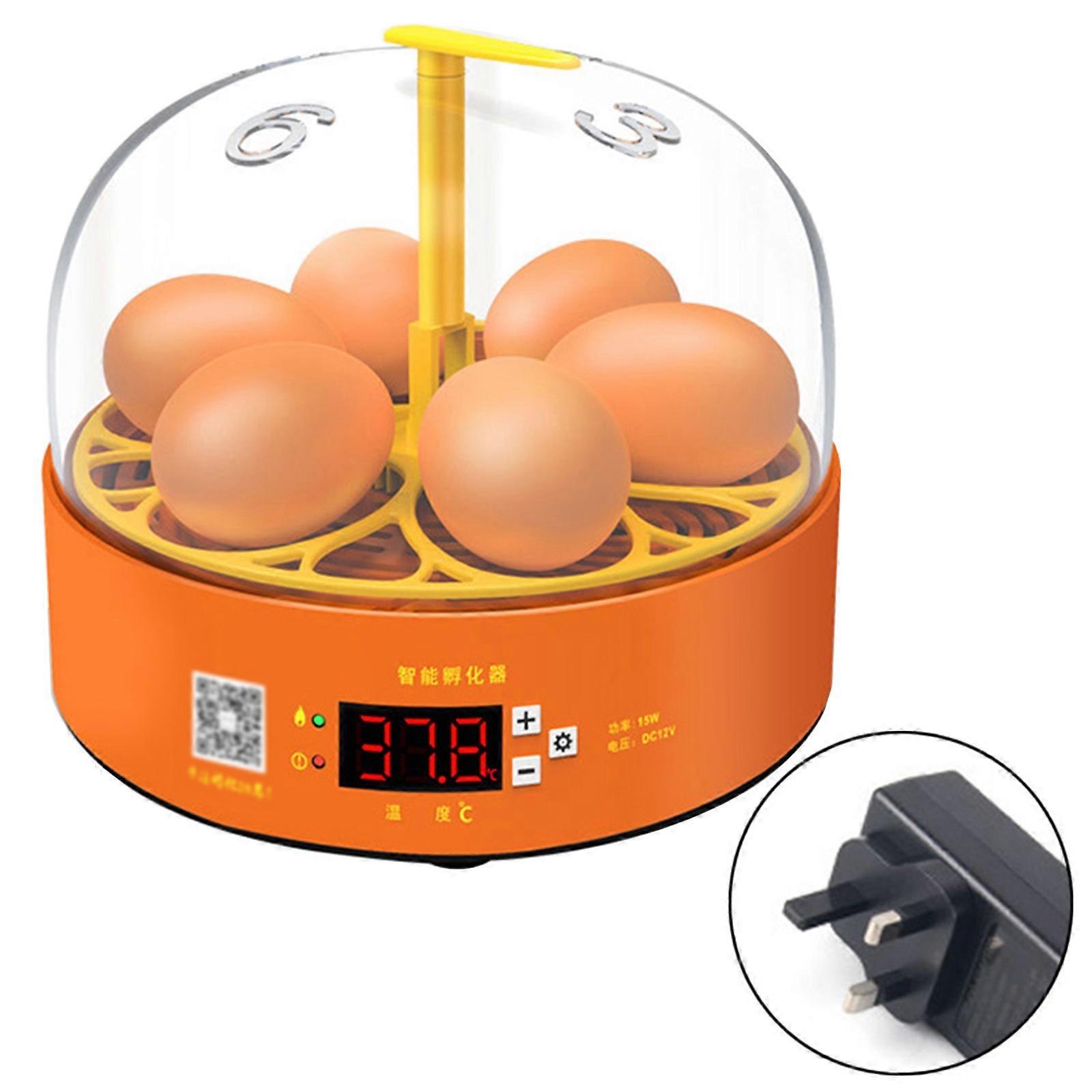 Incubateur automatique intelligent pour 6 œufs de poules, canards et cailles - Fournitures agricoles multicolores