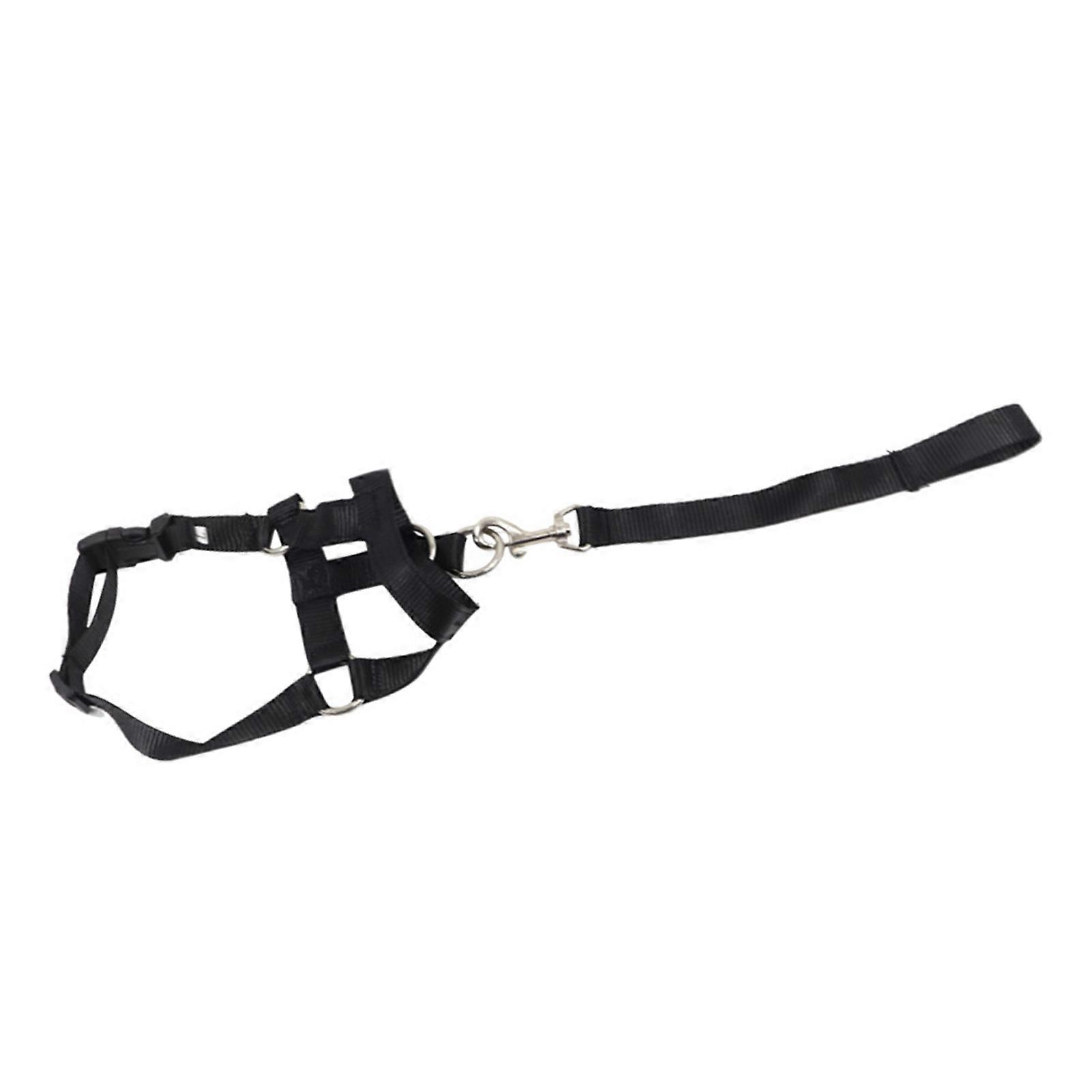 Dog Mouth Muzzle with Towing Rope Adjustable Dog Head Collar Halter Prevent From Biting Barking Running Away XL 