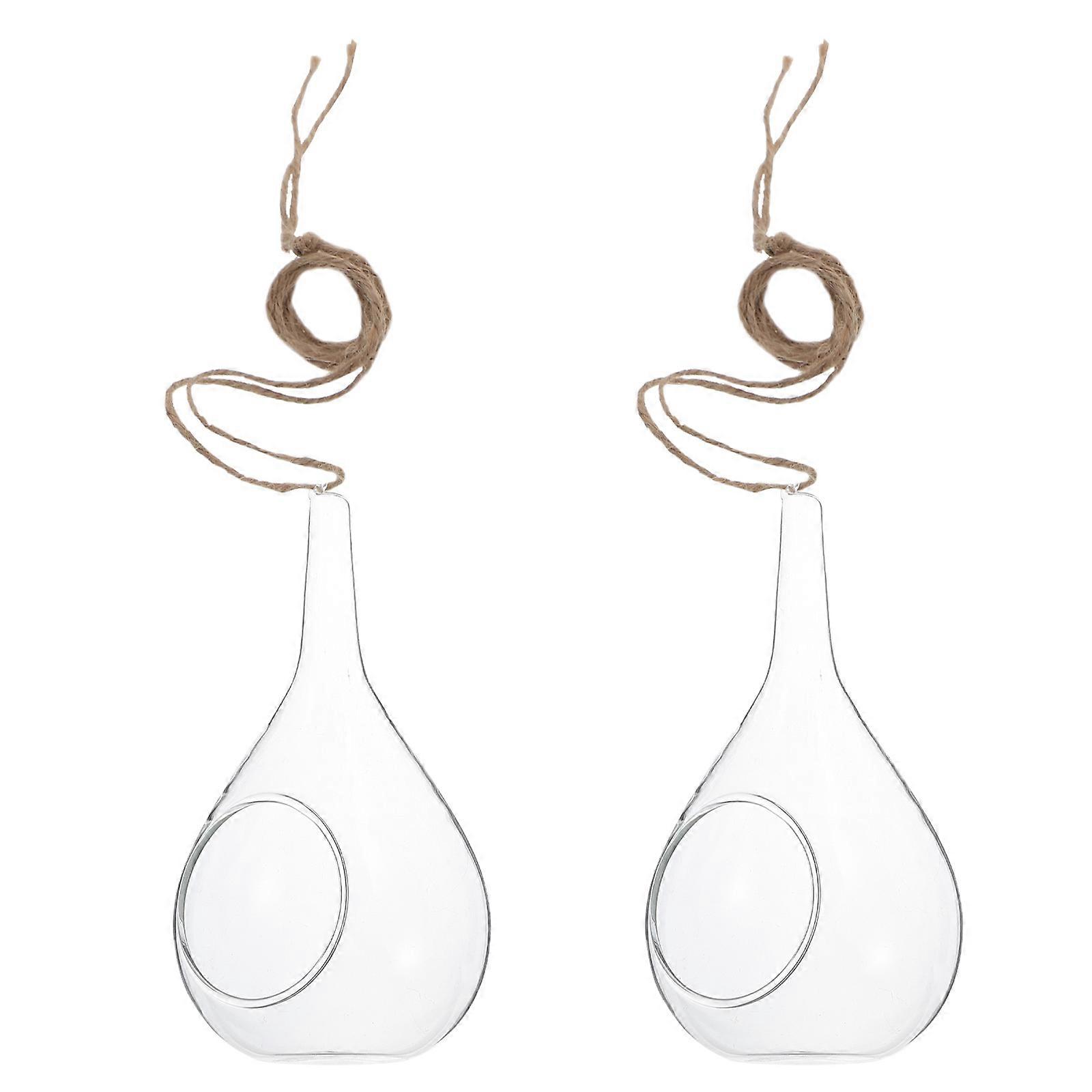 Hydroponic Wall Vase, Durable Glass Container for Unique Plant Display