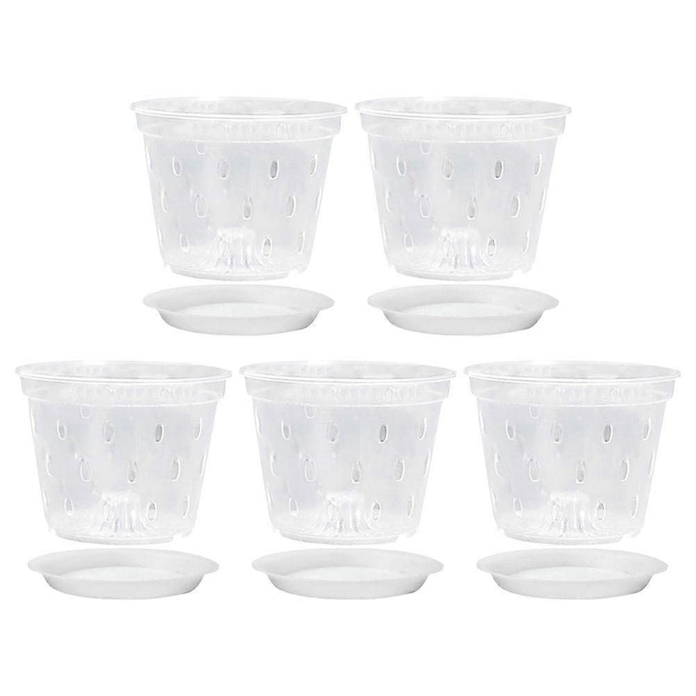 Clear Planter Transparent Orchid Pots Breathable Small Orchid Pot Indoor Planting Plant Enthusiasts 5Sets