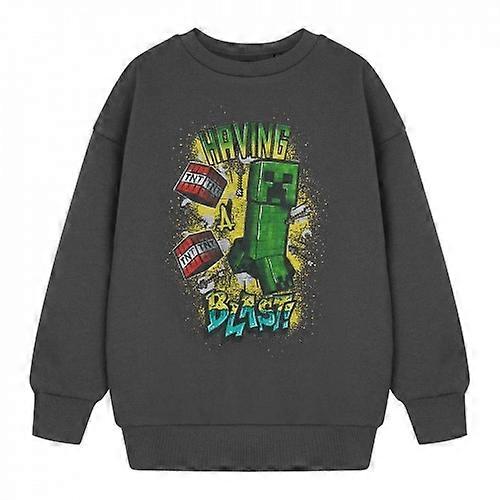 Minecraft Boys Having A Blast Sweatshirt