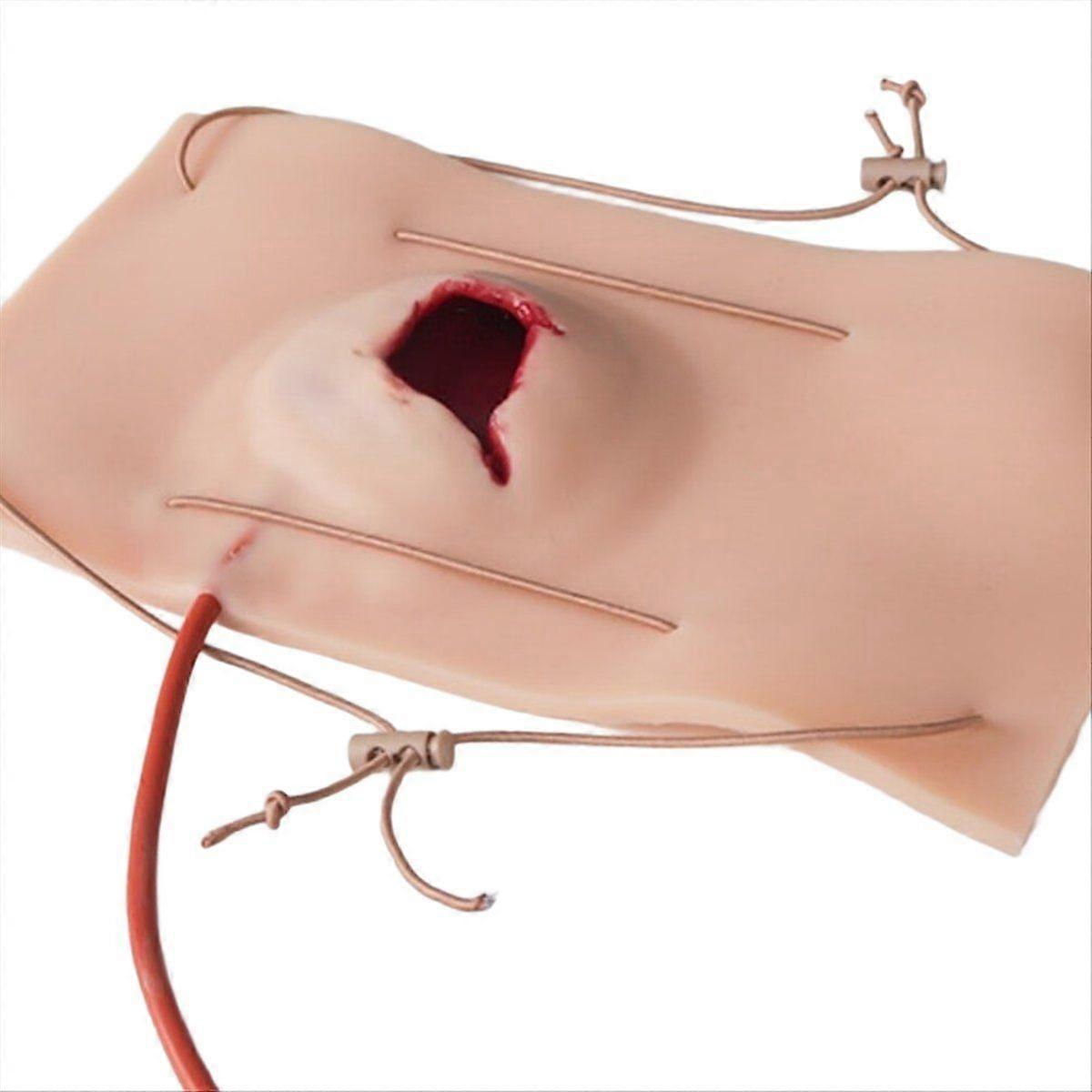 Large Wound Model, Hemostasis Control Training Medical Teaching Model, Trauma Simulation Training