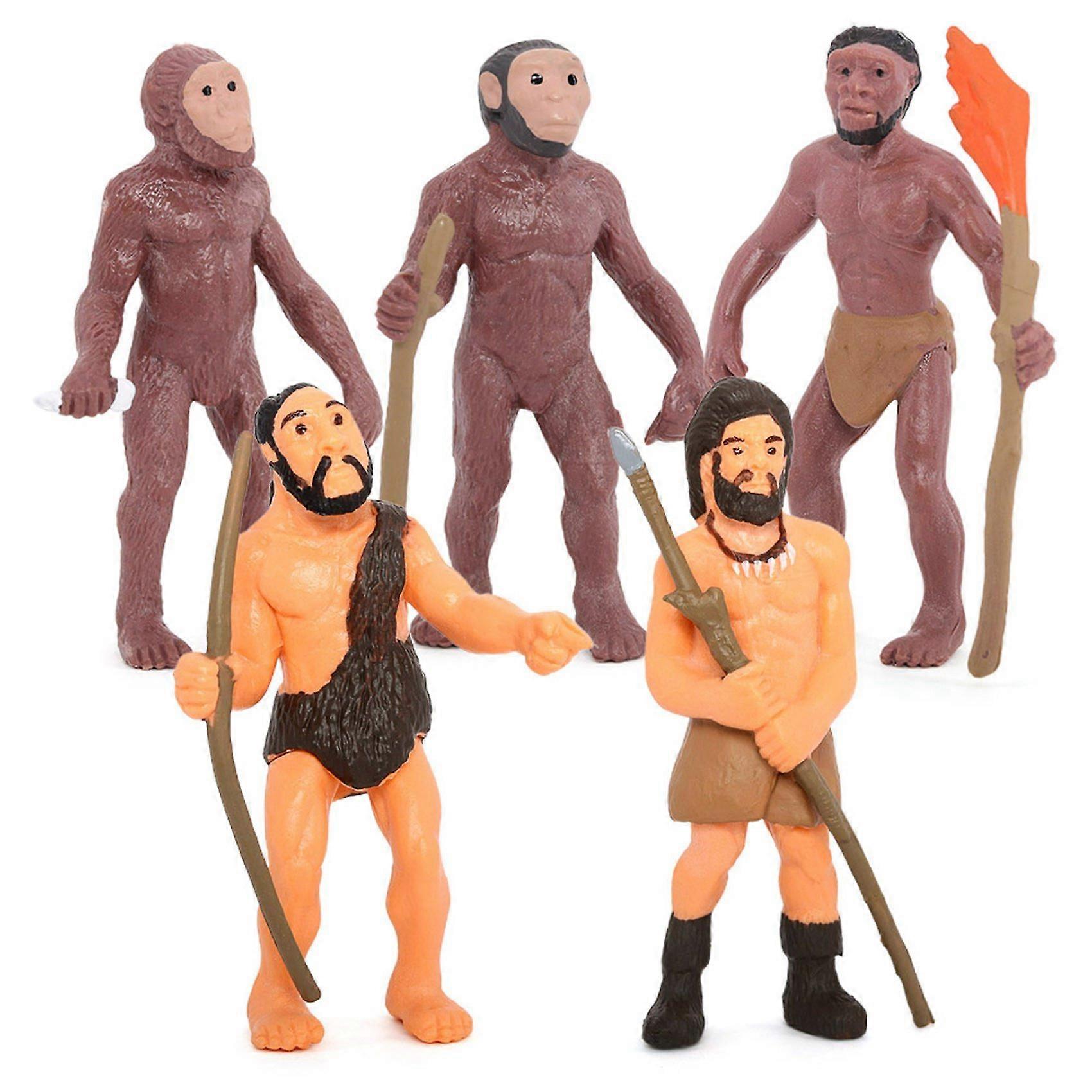 Simulation Human Evolution Models Primitive Figurine Growth Cycle Human Action Figures Educational Toys for Children
