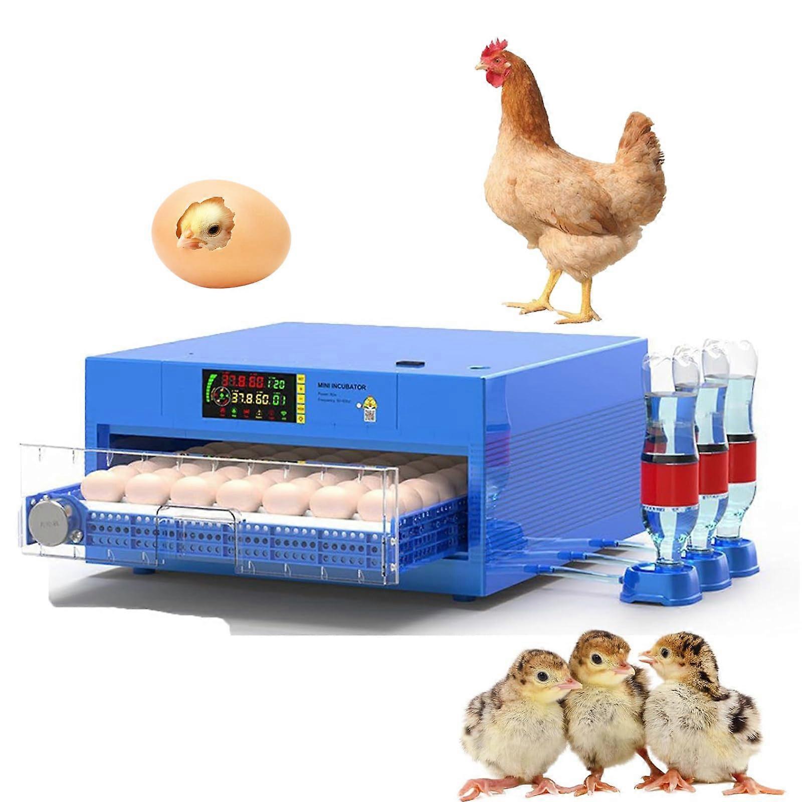 Automatic Egg Incubator with Temperature Control, Dual Power for Chickens Ducks Geese, Large Capacity