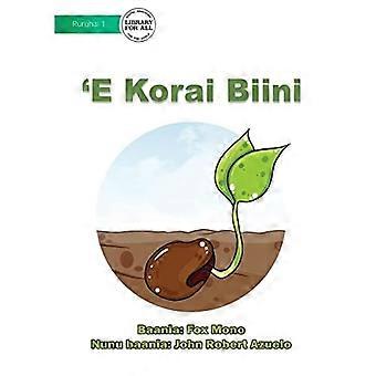The Bean Seed - 'E Korai Biini