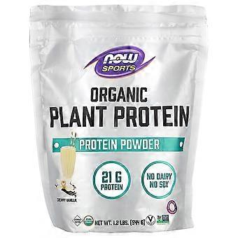NOW Foods, Sports, Organic Plant Protein Powder, Creamy Vanilla, 1.2 lbs (544 g)