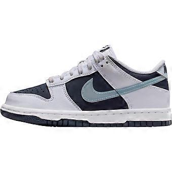 Nike leren lage skateboard schoenen blauw wit unisex II7639-100