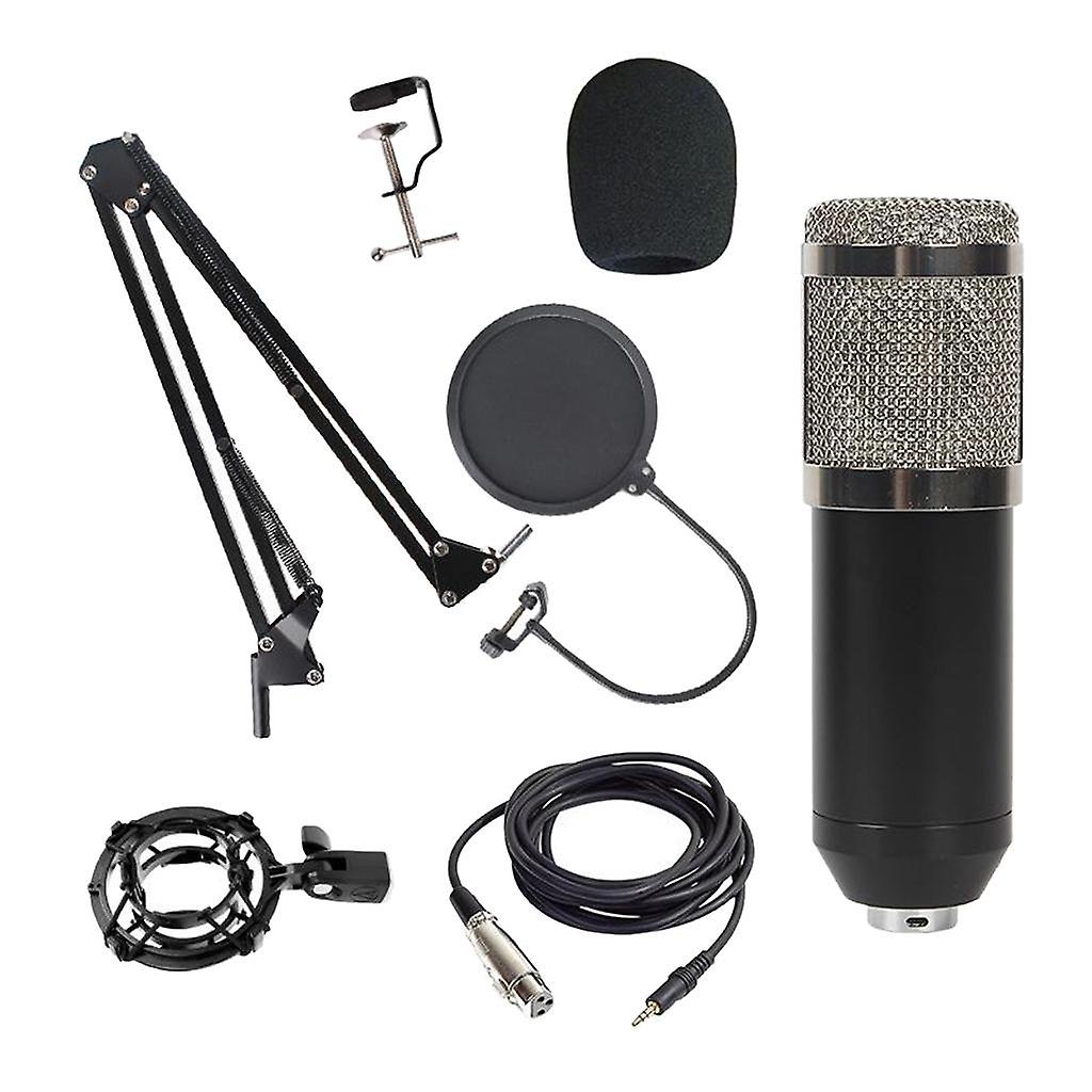 Condenser Microphone Kit for Studio Recording Silver B