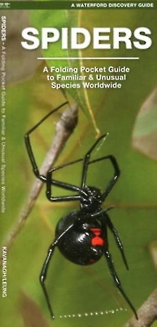 Spiders by James Kavanagh Paperback Book