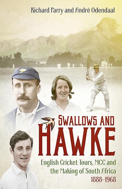 Swallows And Hawke by Andre Odendaal Hardback Book