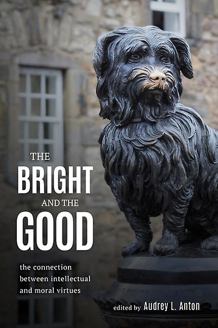 The Bright And The Good Paperback Book