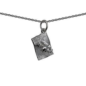 Silver 12x13mm Magic Carpet Pendant with a rolo Chain 24...