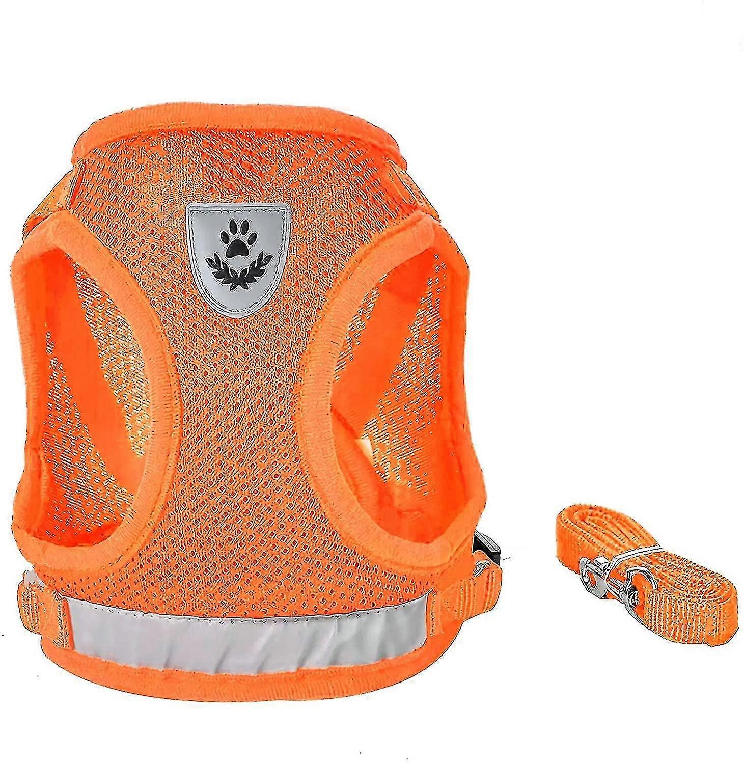 Dog Harness And Leash Set