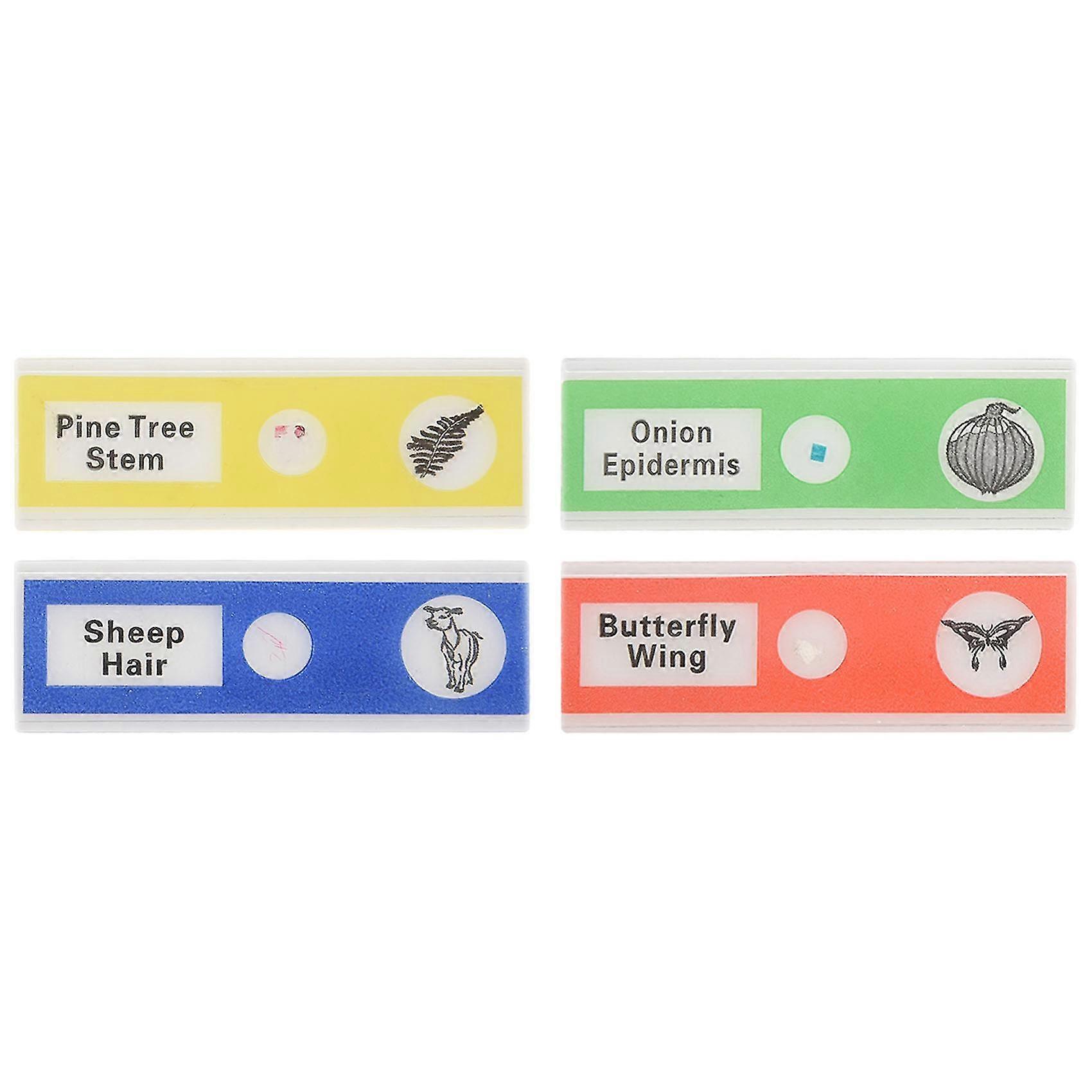 48pcs Kids Plastic Prepared Microscope Slides Of Animals Insects Plants Flowers Sample Specimens Fo