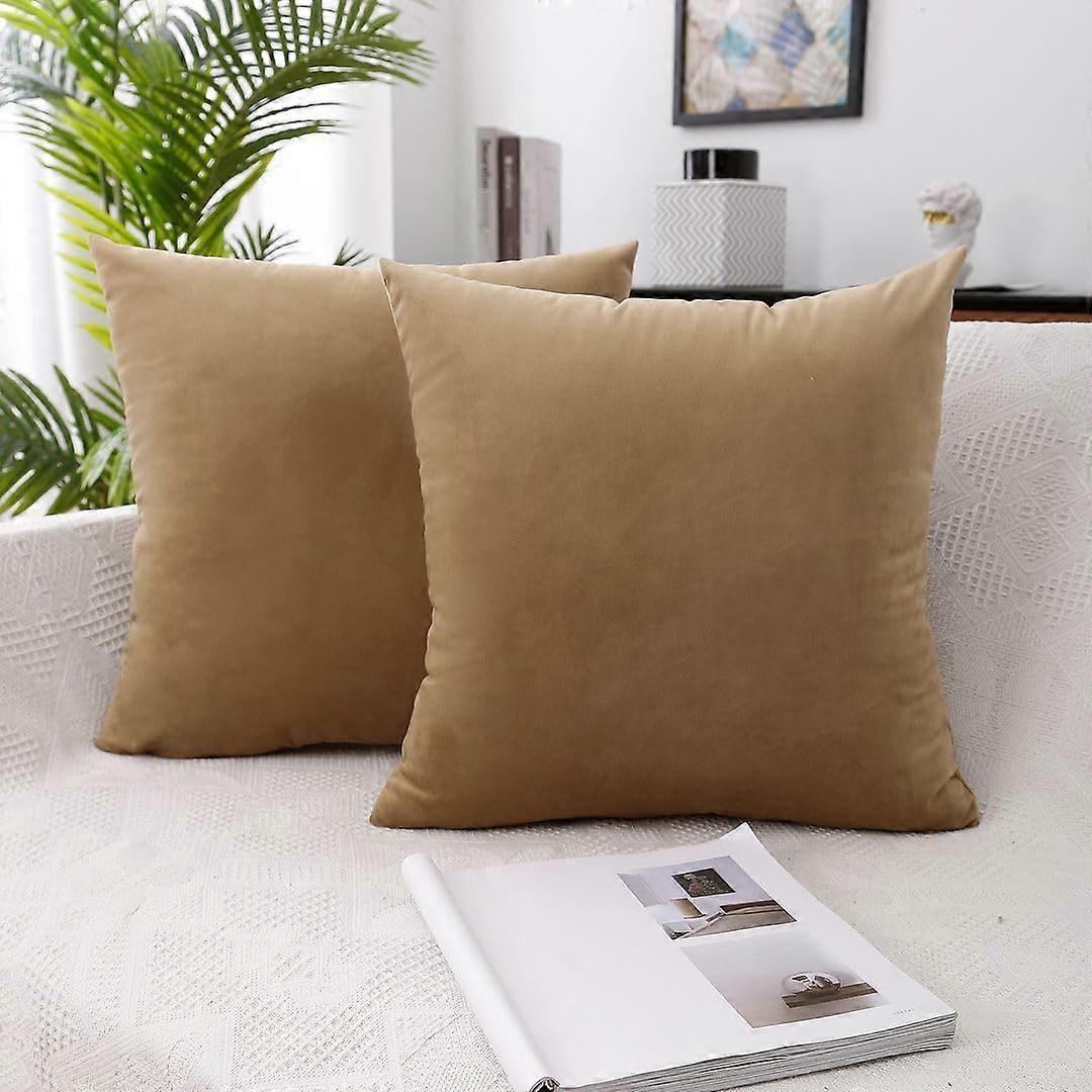 Velvet Decorative Throw Pillow 2 Pack 16 X 16 Inches Synthetic Down Alternative Fill Hidden Zipper Sofa Cushion