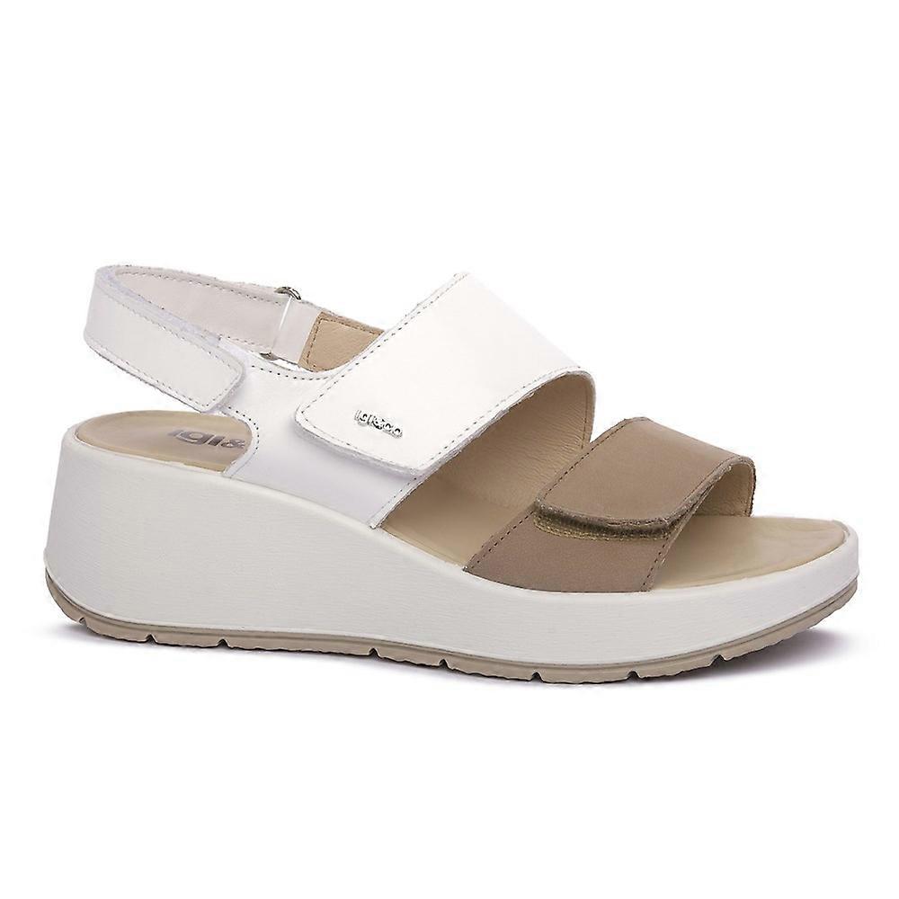 Shoes IGI&CO Marmotta Carola 7666500