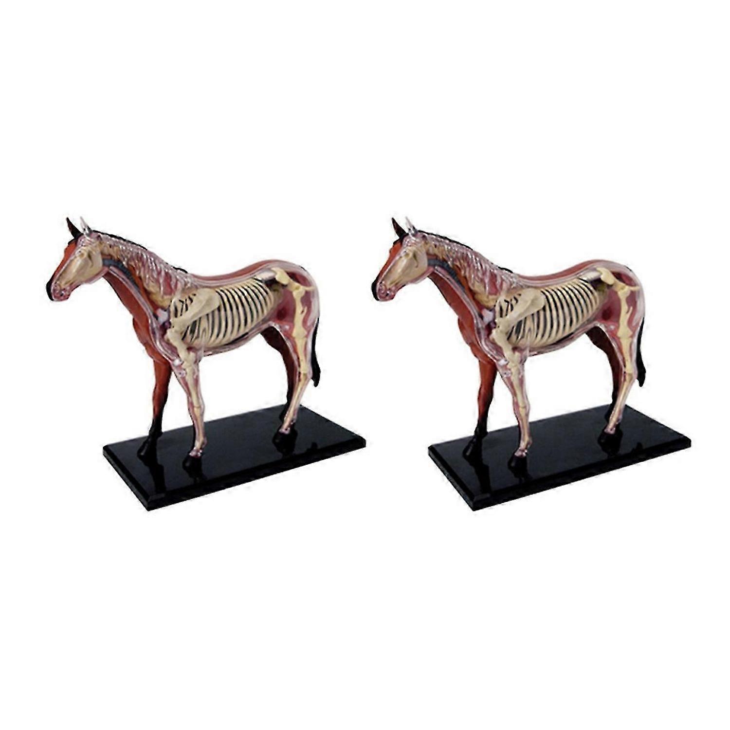 Animal Organ Anatomy Model 4D Horse Intelligence Assembling Toy