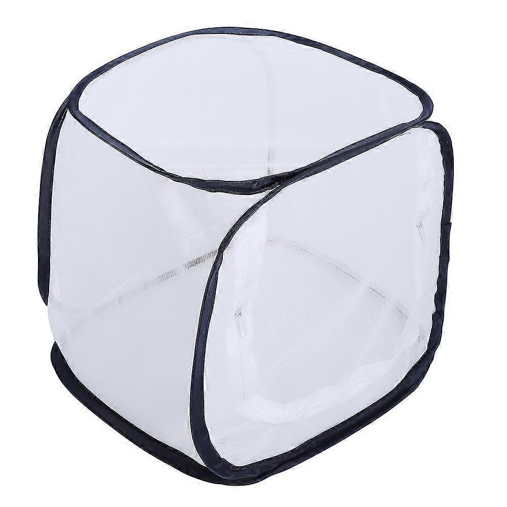 Pliable, Papillon, Maison, Élevage, Cage