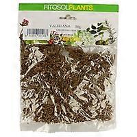 Valerian 50 g