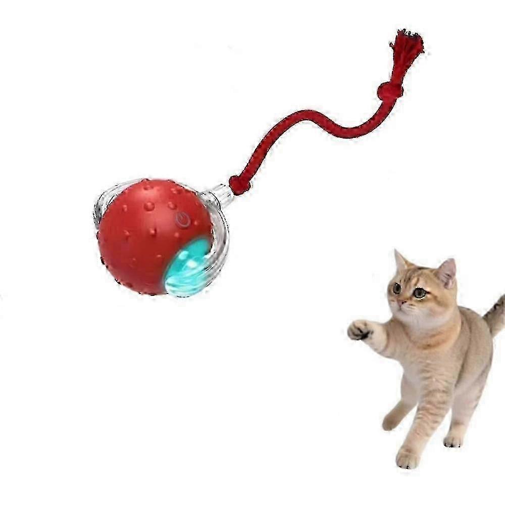 Tiny Fetch Dog Toy,Tinyfetch Interactive Dog Cat Toys Balls,Fast Moving Ball