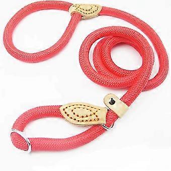 Extra Long Thick Nylon Slip Lead