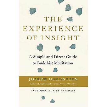 Experience Of Insight - Joseph Goldstein