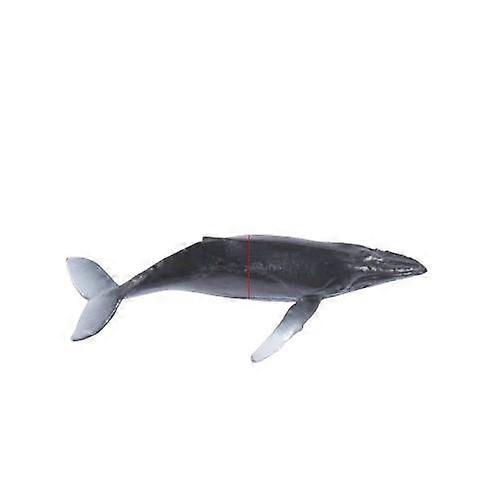 Amazon diy Crystal epoxy mold rectangular table decoration Marine souvenir sealed silicone mold