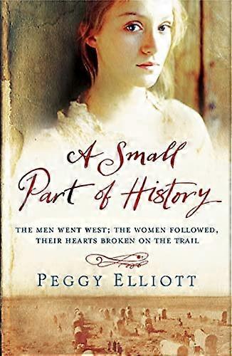 Niewielka część historii