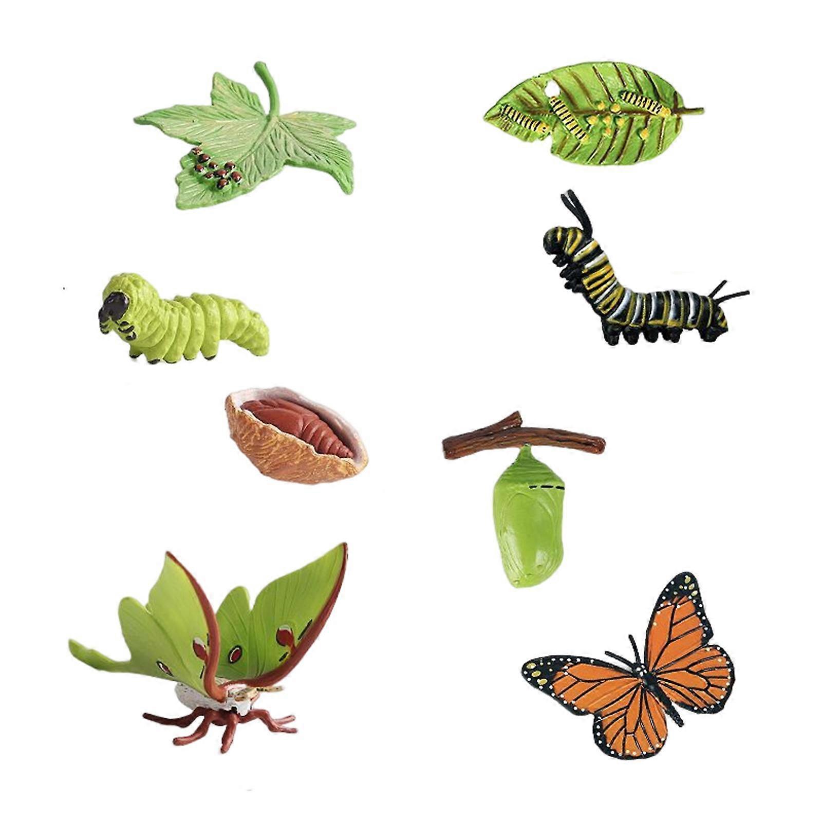 Butterfly Moth Life Cycle Figures Science for Development Toys Child Education