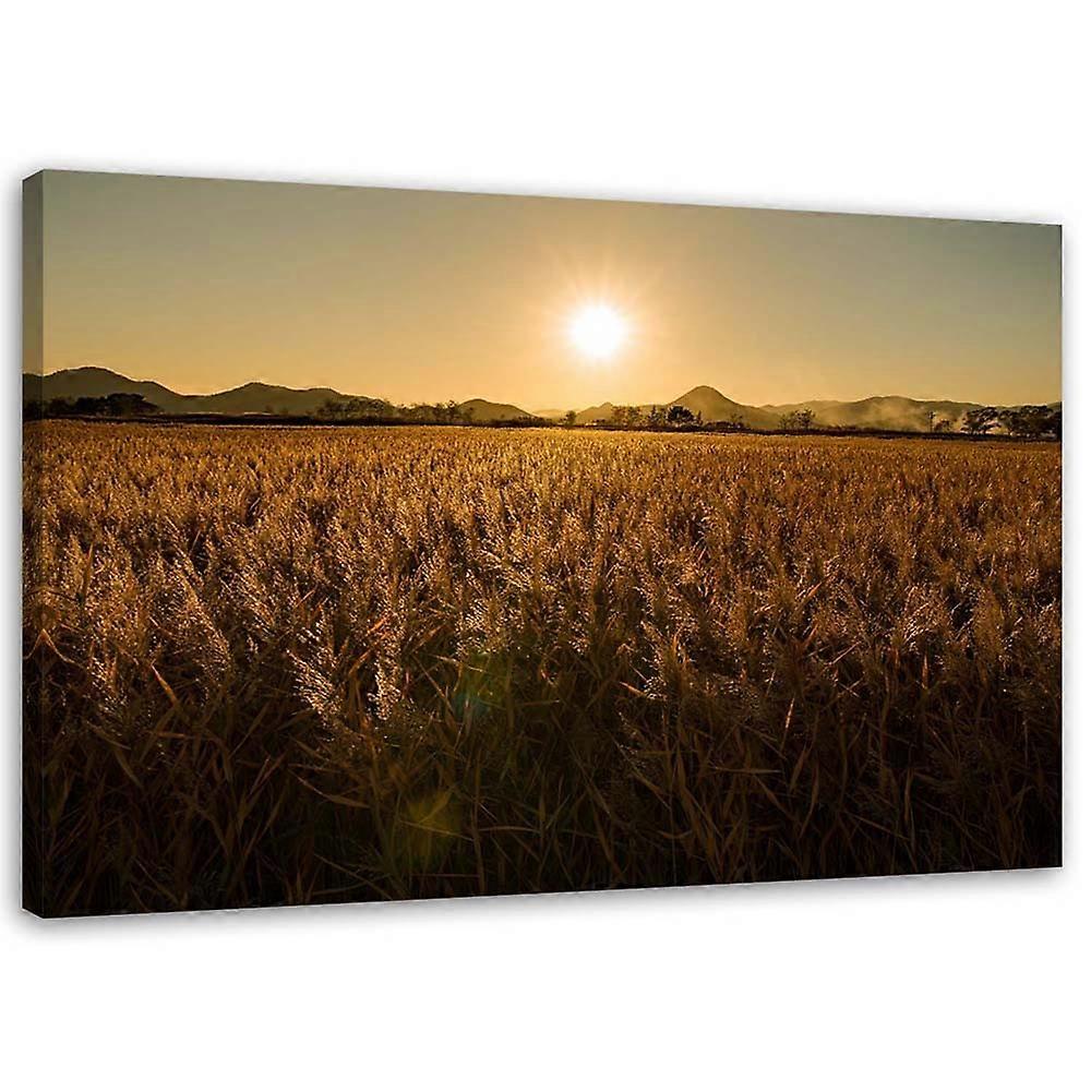 Impression sur toile, Champ de maïs - 100x70