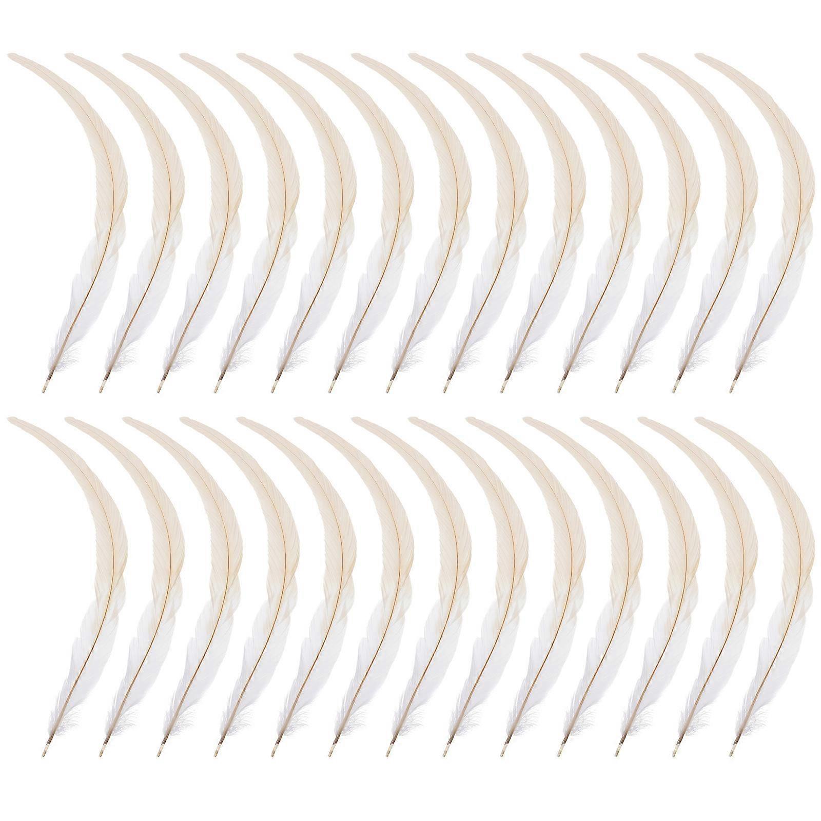 Rooster Tail for DIY Craft Use 50Pcs White