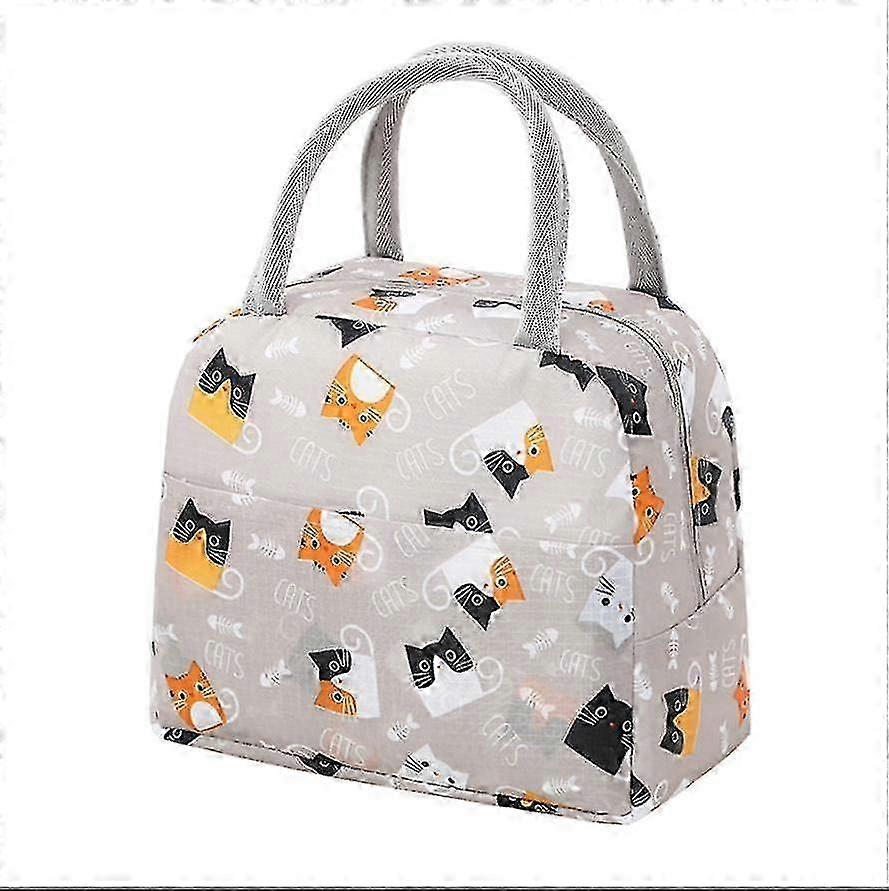 Portable Insulated Lunch Bag for Office Use, Waterproof and Cool Design Lunch Box Tote, Perfect for On-the-Go Meals