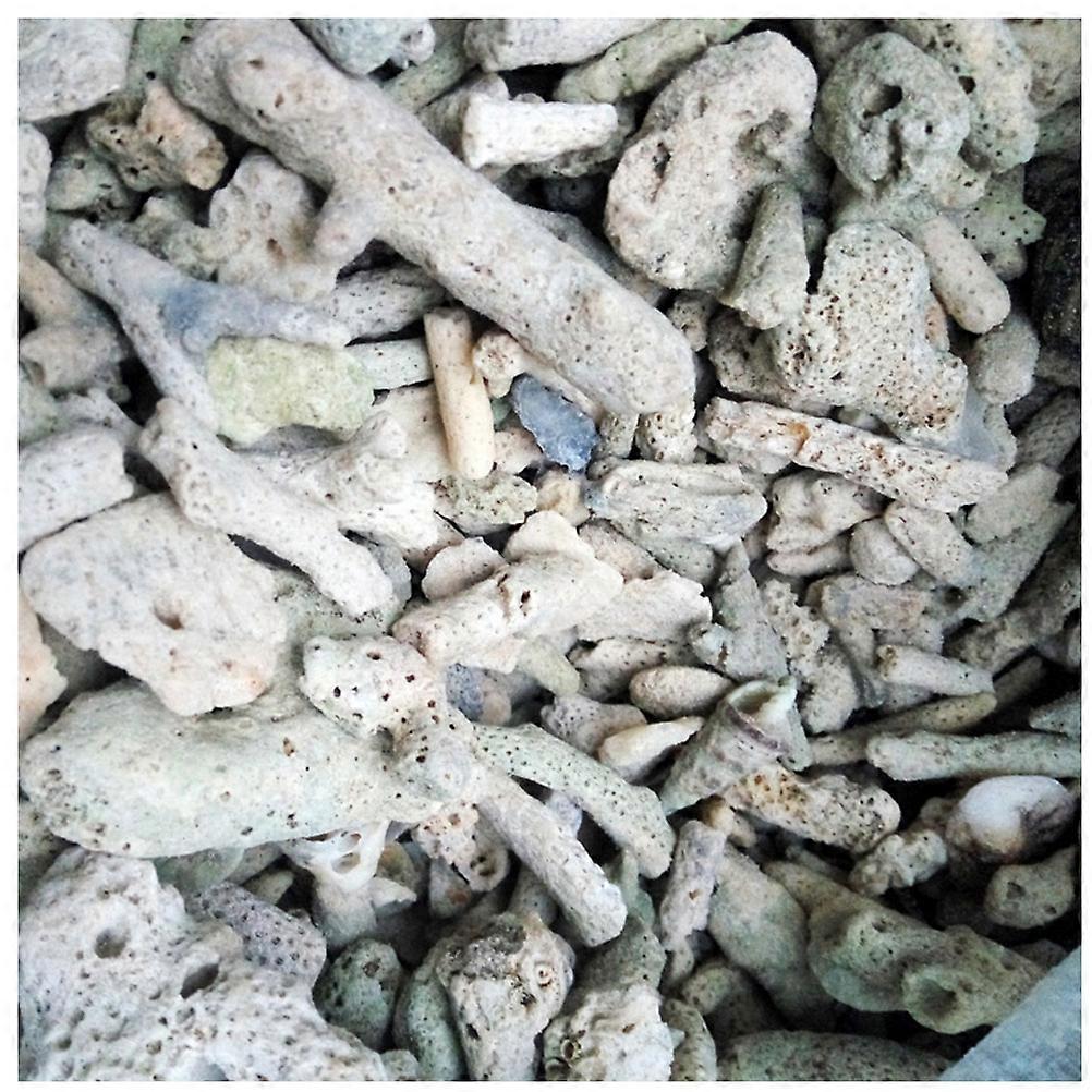 Aquarium Sand Coral Sand Calcium Carbonate Release Saltwater Aquarium 2-6cm