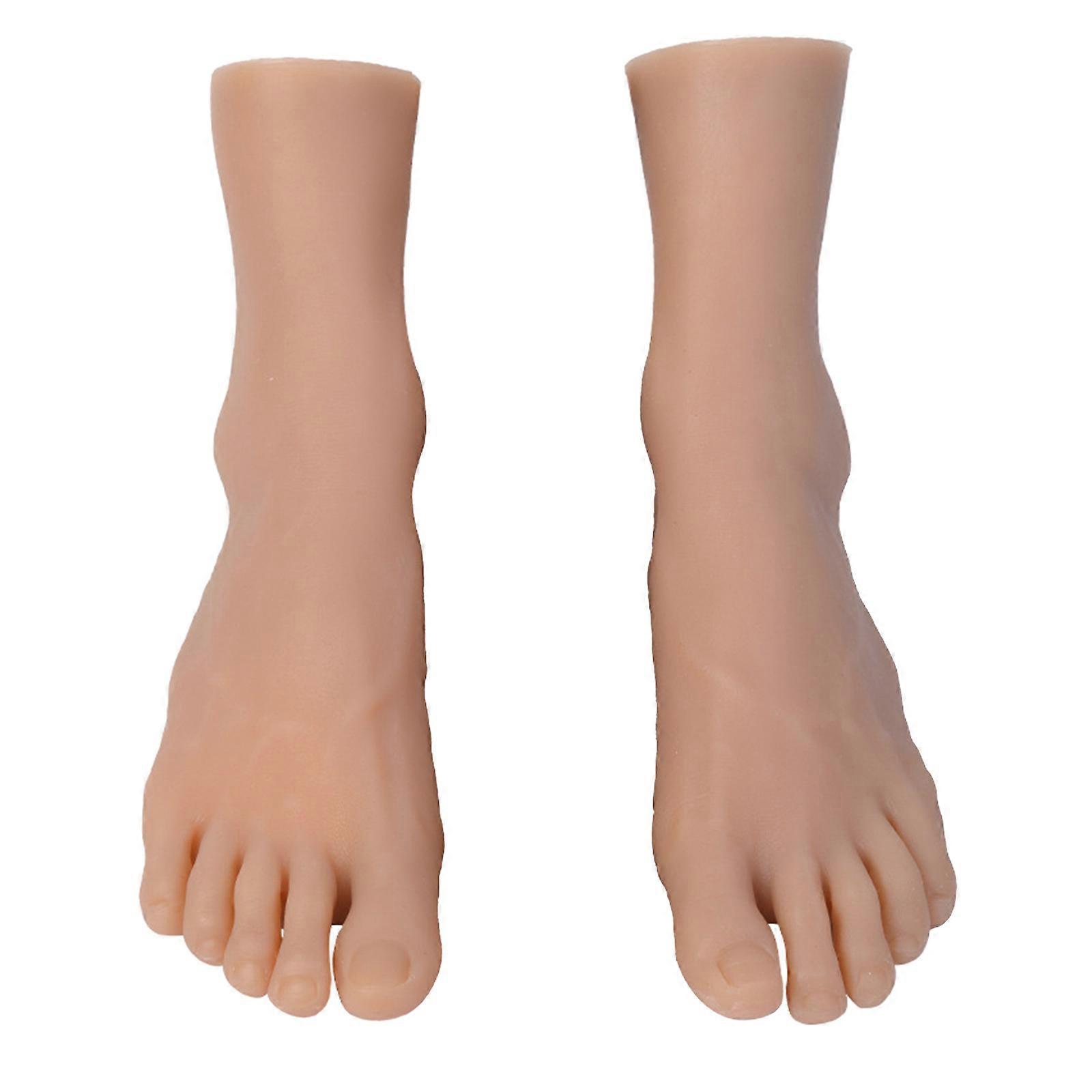 44 αρσενικά εργαλεία εκπαίδευσης ανατομίας ποδιών μανεκέν ποδιών κατασκευής αντιγράφων TPE μεγέθους για κλινική μελέτη μάρκετινγκ παπουτσιών πολύχρωμα