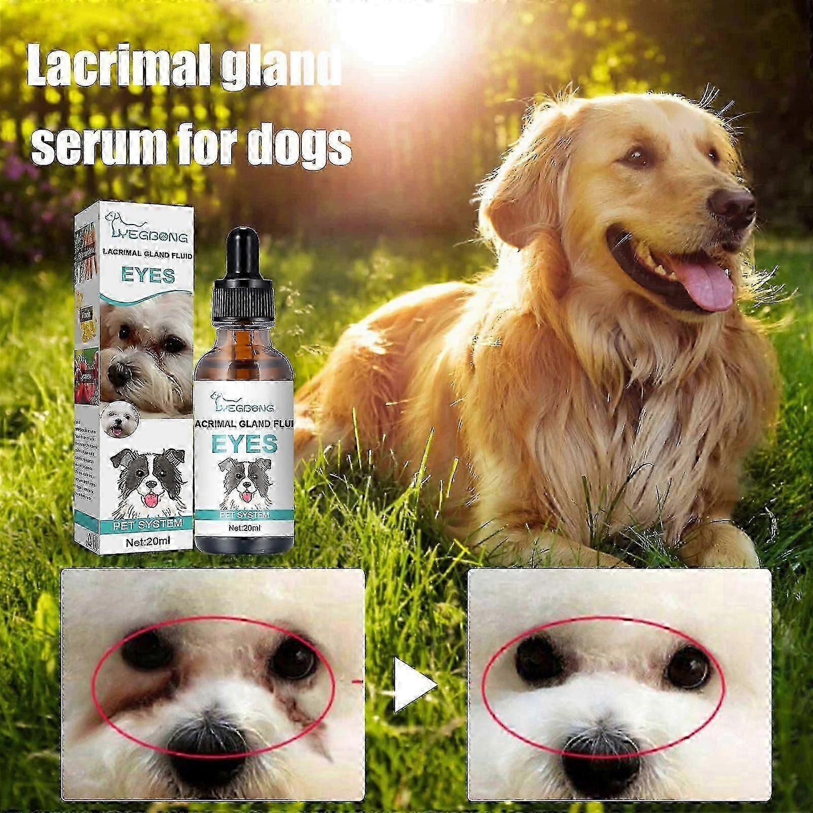 Yegbong Dog tear gland essence Essence for cats and dogs, eyes tear marks for pets, in addition to eye poop