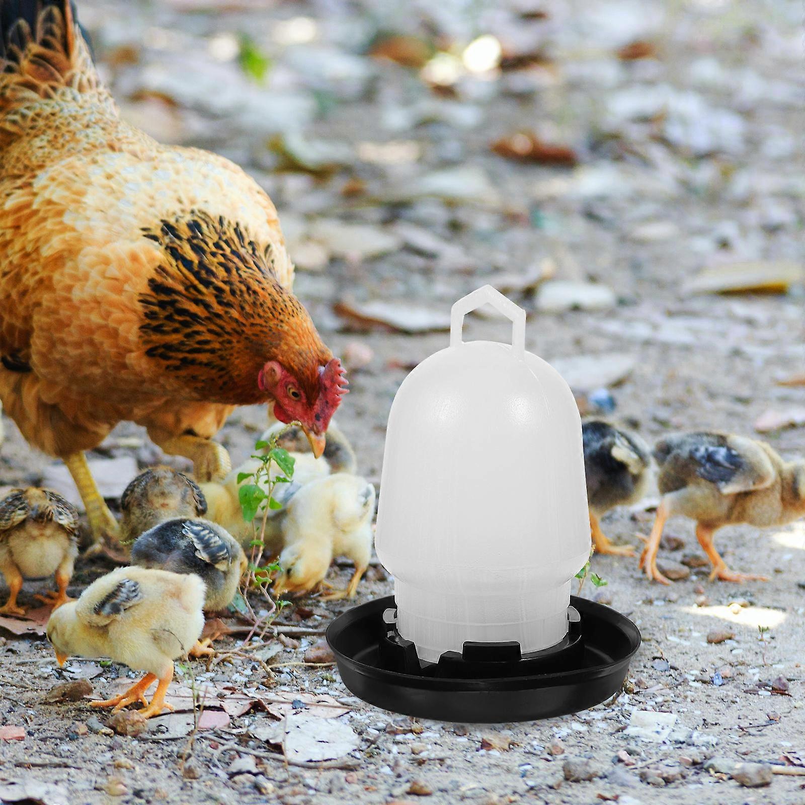 Chicken Waterer System Prevent Water Spoiling Chick Water Container for Farmers 15x11.5cm Plastic 1Set