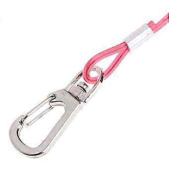 Bird Leash Training Rope for Parrot Flying Harness with 1Pcs 5 Meters