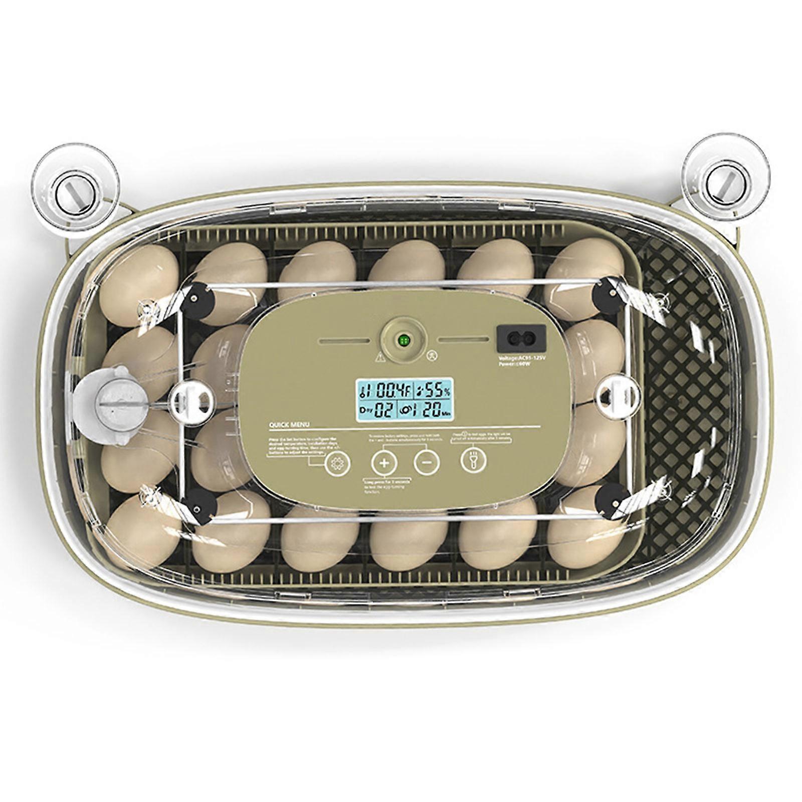 Pet Eggs Hatching Device Compacts Eggs Hatchery Machine Digital Incubator With Easy Operations Panel Multicolor