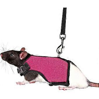 Conjunto de arnés y correa compatible con animales pequeños, arnés de nailon de malla suave y duradero, compatible con todas las estaciones con almohadilla para mesa.
