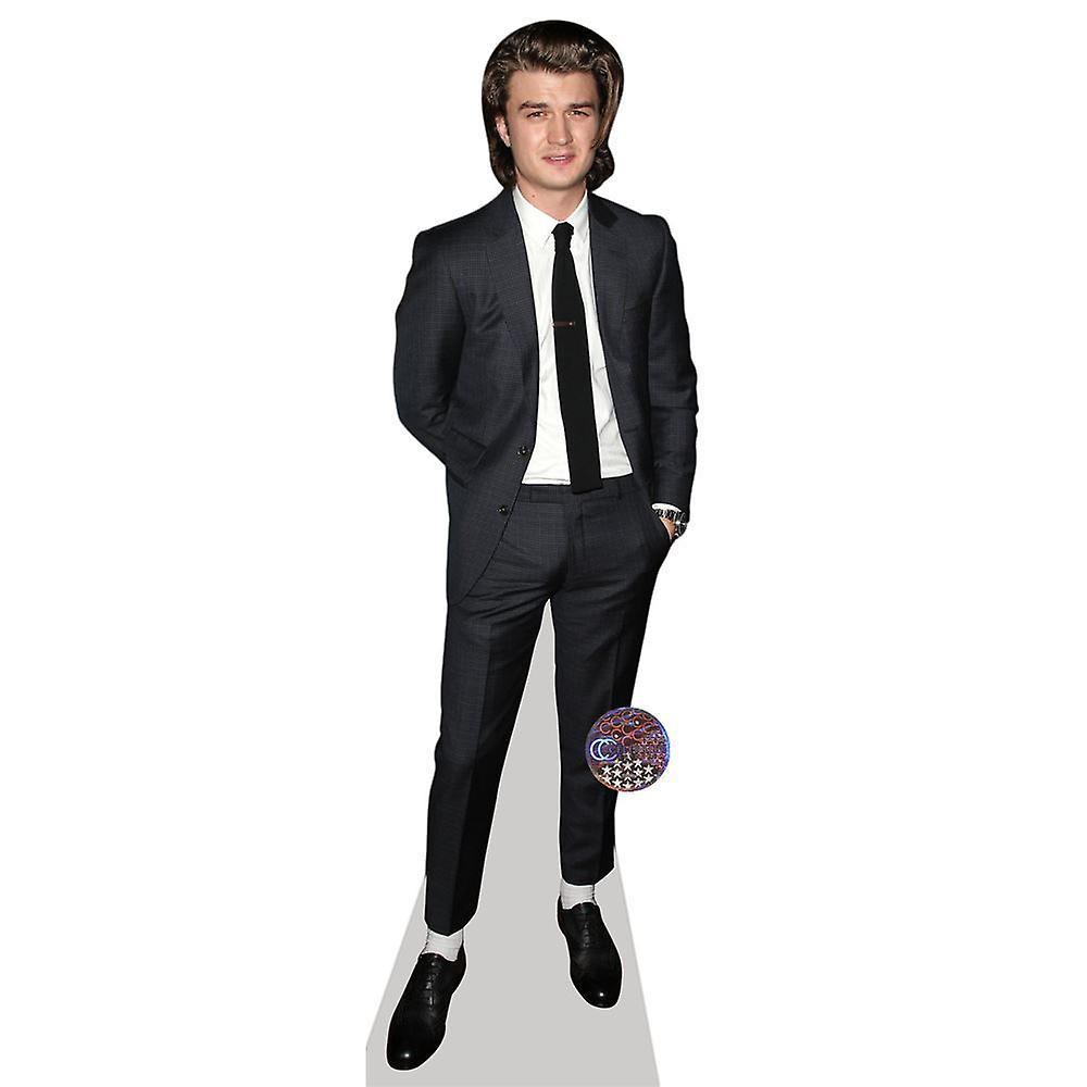 Joe Keery Cardboard Cutout (life size OR mini size). Standee. Stand Up.