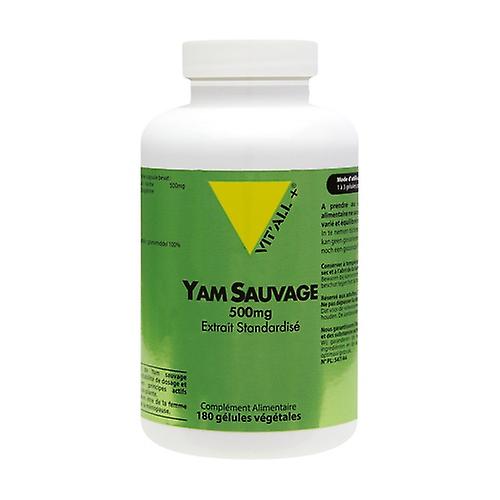 Wild Yam 500mg Standardized Extract 180 vegetable capsules