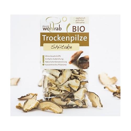 Organic Dehydrated Oyster Mushroom 20 g