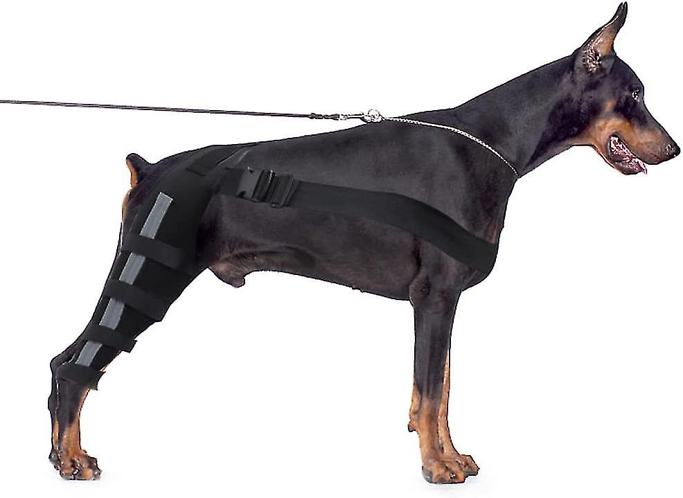 Dog Knee Brace with Reflective Seat Belts