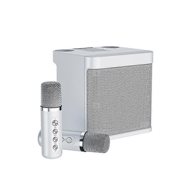 Wireless Karaoke Speaker - Karaoke Equipment with Wireless Microphone, Karaoke Machine for Adults and Kids, Subwoofer Karaoke Family Party