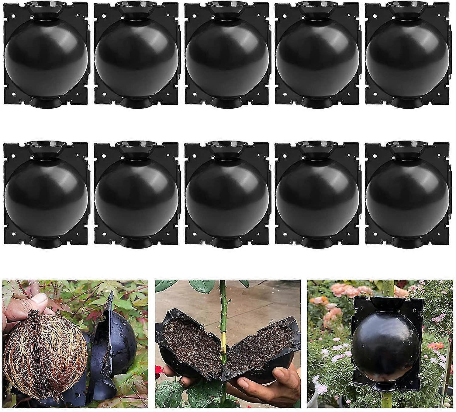 10 Pack Plant Rooting Deviceplant Root Growing Box For Plant Propagation Reasable Propagation Rooting Ball