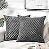 2 pack dark gray coral decorative pillowcases 45*45cm