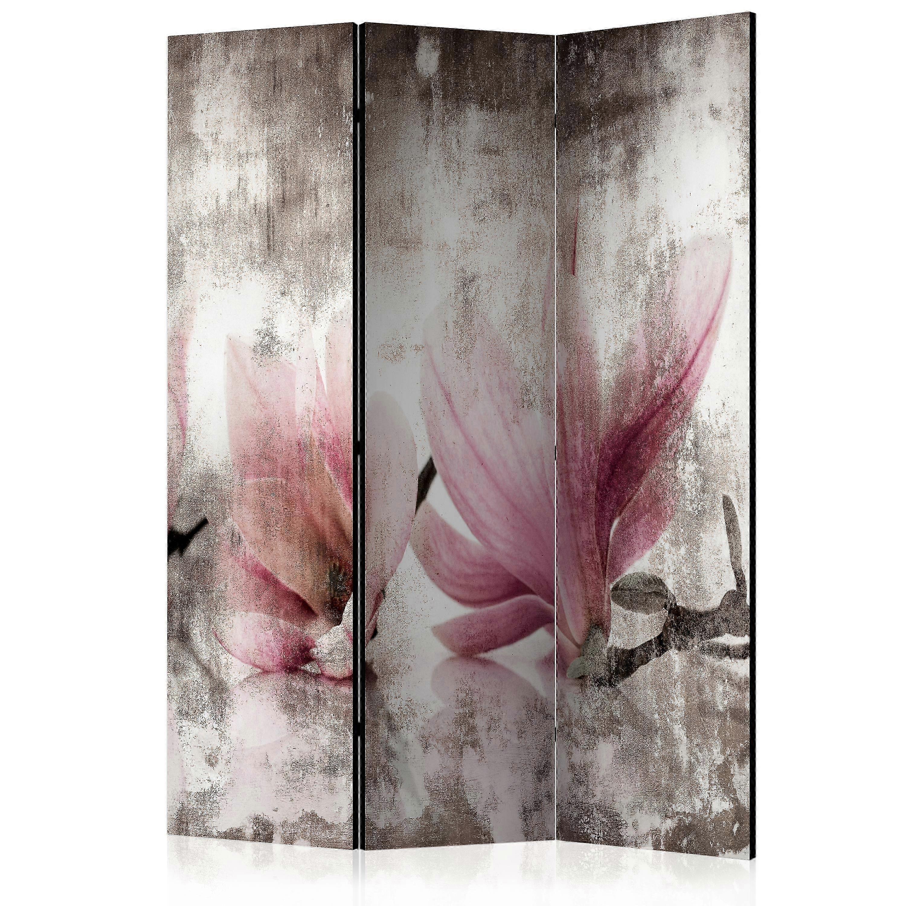 Separator de cameră - Magnolii istorice