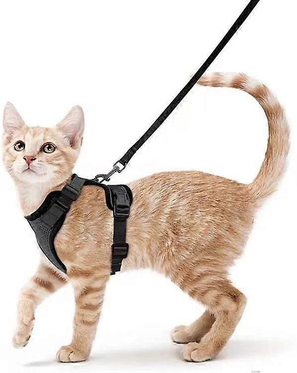 Cat harness (black XS)