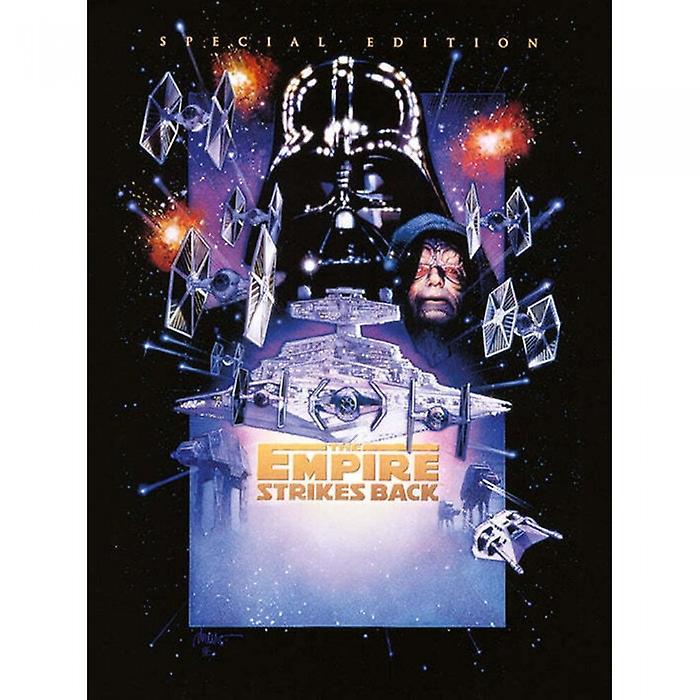Star Wars The Empire Strikes Canvas Print